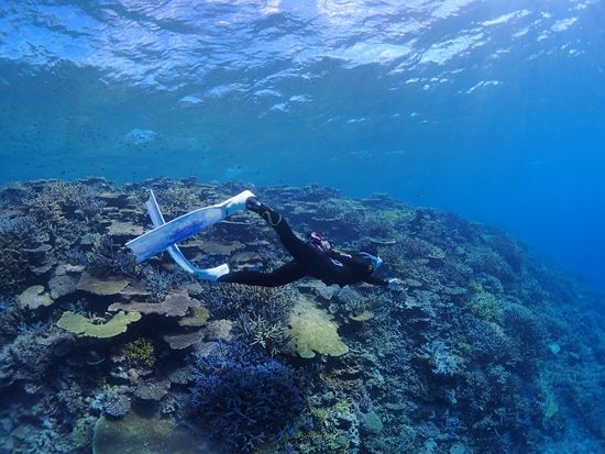 八重干瀬】スキンダイビングツアー ドローン撮影＋水中カメラレンタル