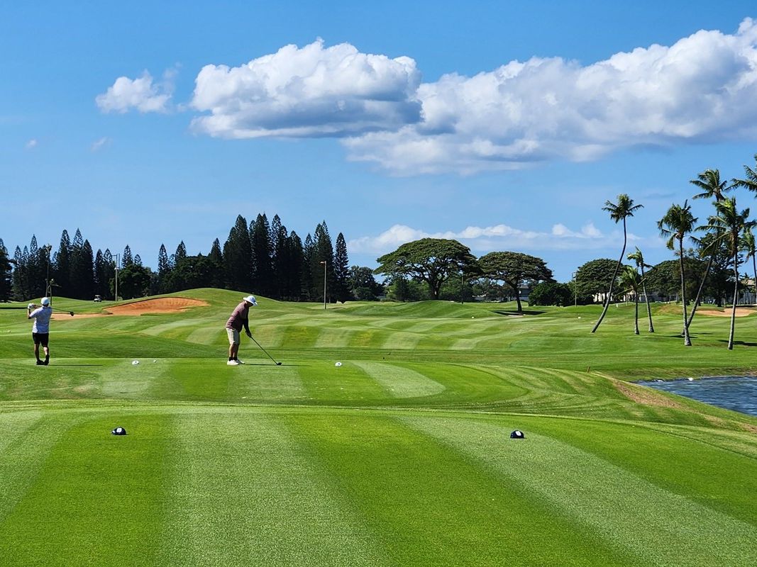 ゴルフ | オアフ島(ホノルル) 旅行の観光・オプショナルツアー予約