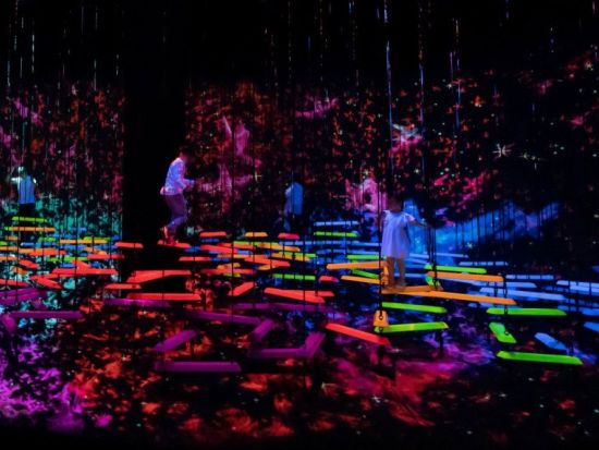 アート・サイエンス・ミュージアム　入場チケット事前予約