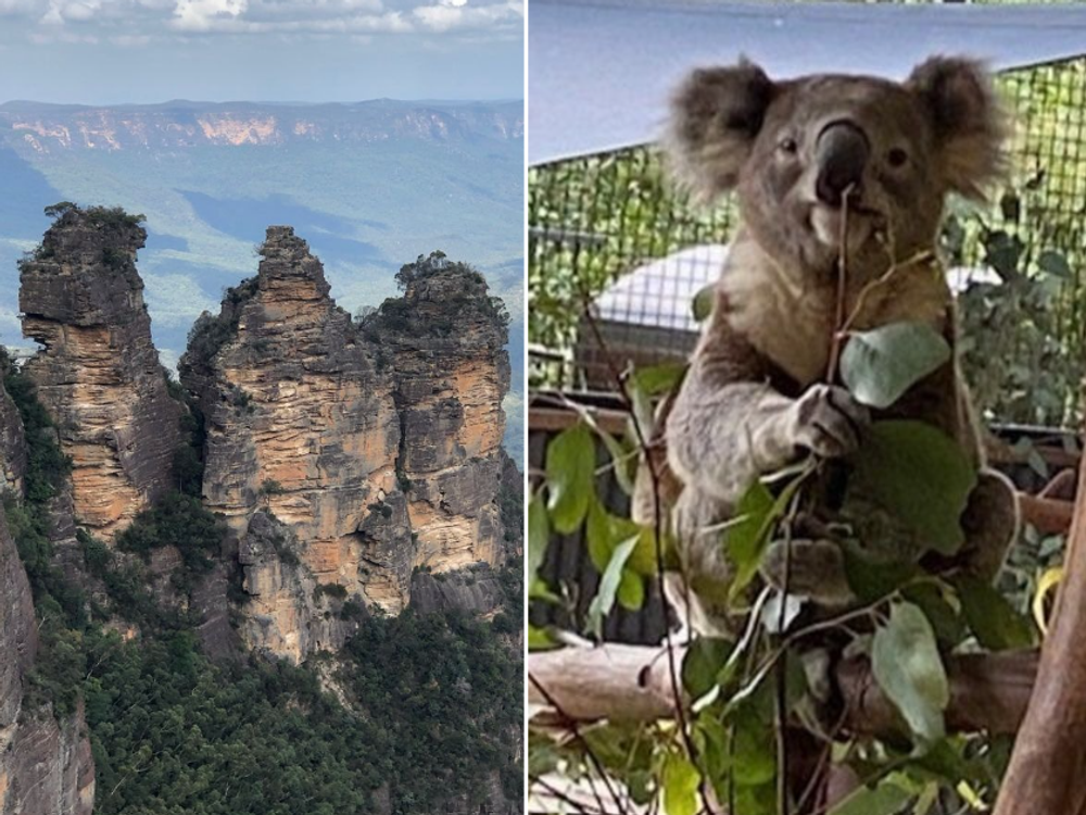世界遺産ブルーマウンテンズ観光ツアー キングステーブルランド＋