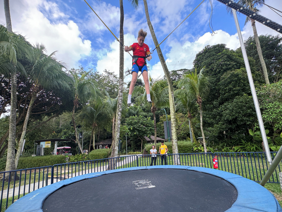 148e9c54-c7ca-4f3d-a6df-5fd54fc96137