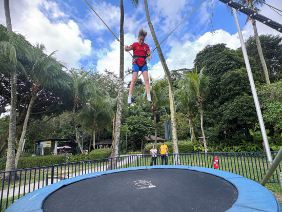 メガアドベンチャー・シンガポール　入場チケット事前予約　ジップラインなどの空中アスレチックを体験＜セントーサ島＞