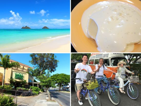 ラニカイへ！おしゃれタウン＆全米No.1ビーチ【ブーツアンドキモズ・絶景ピルボックス・ヘイアウ・エメラルドグリーンの海など】＜日本人ガイド＆少人数制＞