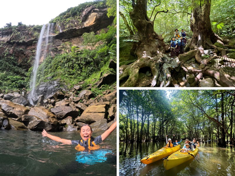 Blue Surf Sport Photo Collage (1)