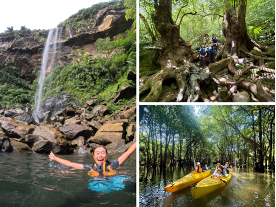 西表島 ピナイサーラの滝 カヤック＆トレッキング 半日で滝壺体験＜午前・午後選択可／送迎・写真付き／西表島＞