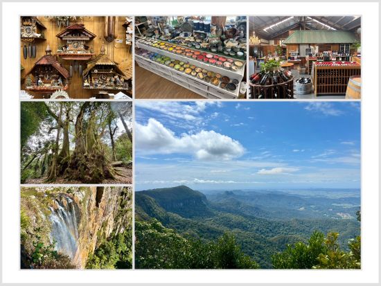 世界遺産亜熱帯雨林とアーティスティックな高原の街を巡る贅沢な一日 スプリングブルック国立公園＆マウントタンボリンツアー＜日本語ドライバーガイド・送迎あり＞