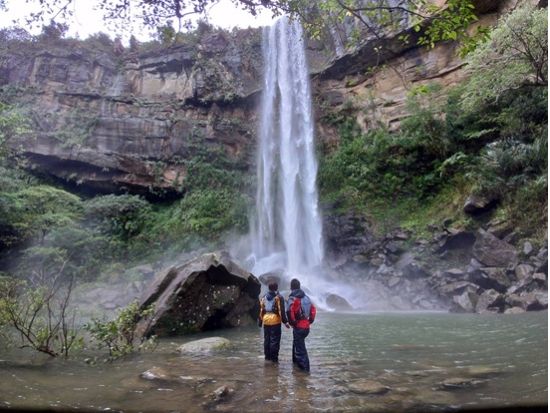 西表島の大自然を手軽に体感！午前or午後が選べるピナイサーラの滝壺体験＜約4時間／画像プレゼント＆送迎付き／西表島＞