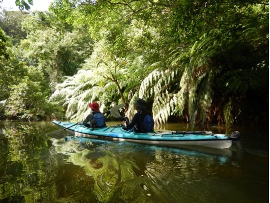 【1組限定】ピナイサーラの滝壺カヌー＆トレッキング貸切プラン＜半日orショートor1日／送迎付き／西表島＞