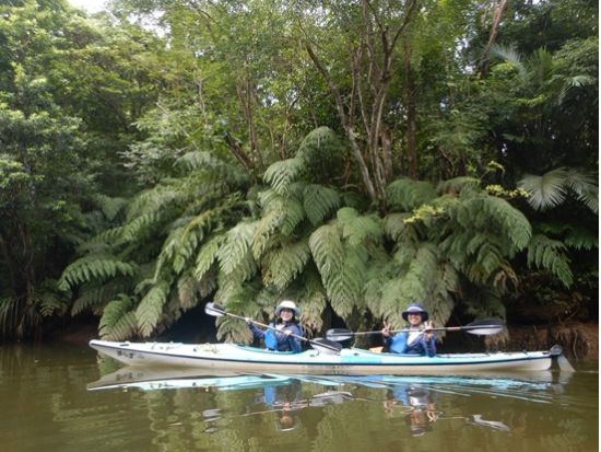 自然を全身で体感！西表島の川とジャングルを巡る本格カヤック旅 ナーラの滝探検ツアー＜昼食＆送迎付き／約7.5時間／西表島＞