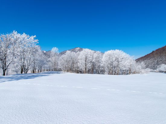 Hokkaido_Furano_Winter_pixta_74492198_M
