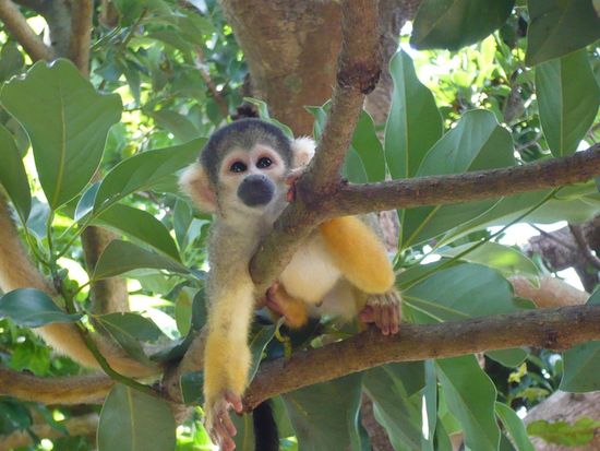 signed-url-redirect (17)