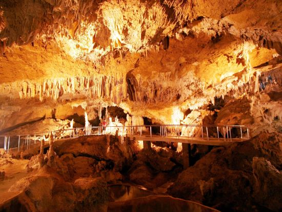 石垣島1日バスツアー 川平湾・玉取崎展望台など人気スポットを巡る 地元ガイドが楽しくご案内◎＜月・水・土催行＞