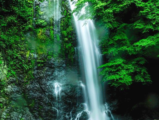 ㉛AC新緑の箕面大滝1899073_m