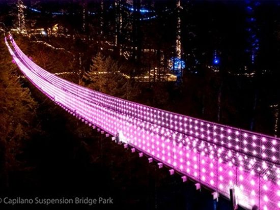 Capilano-Love-Lights-01-600