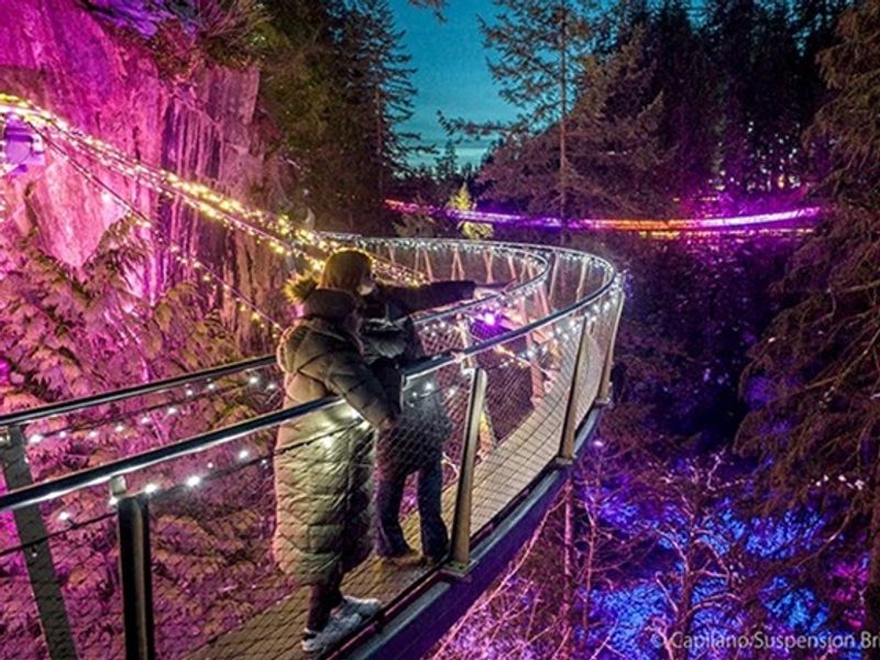 Capilano-Love-Lights-03-600