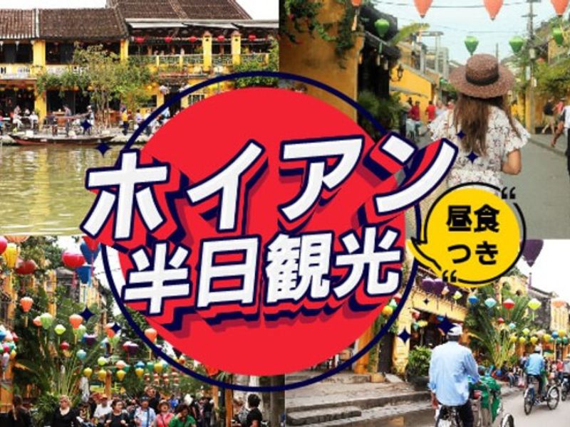result_Tr00100420240815173333741