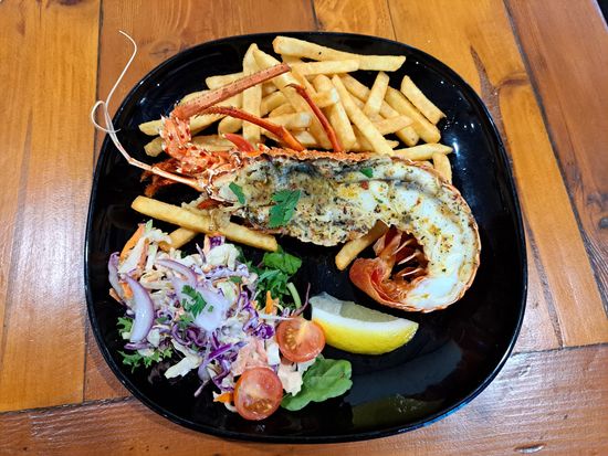 サンピナ ロブスター