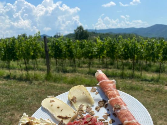 本場イタリアの家庭訪問　ティラミス作り体験＆ワインテイスティング ＜ワイン試飲＆軽食付き／英語ガイド＞