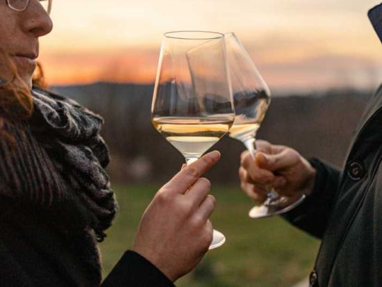 デザイナーズ・アウトレット・ショッピング＆オーガニックワイン体験 ＜ワイン試飲＆軽食付き／英語ガイド＞