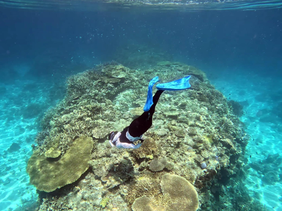 スクリーンショット 2026-01-28 143910