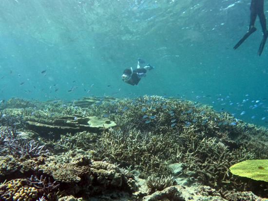 スクリーンショット 2026-01-28 144136