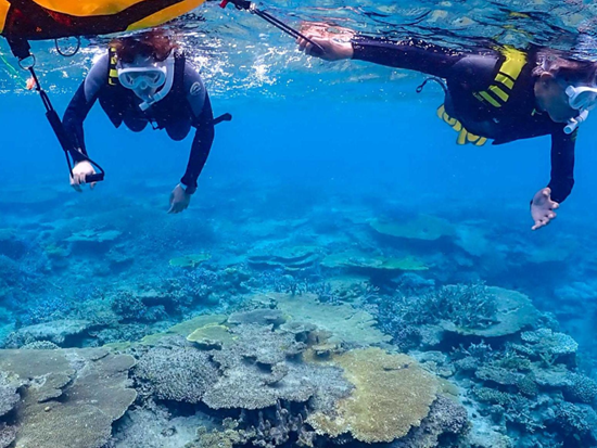 スクリーンショット 2026-01-28 144215