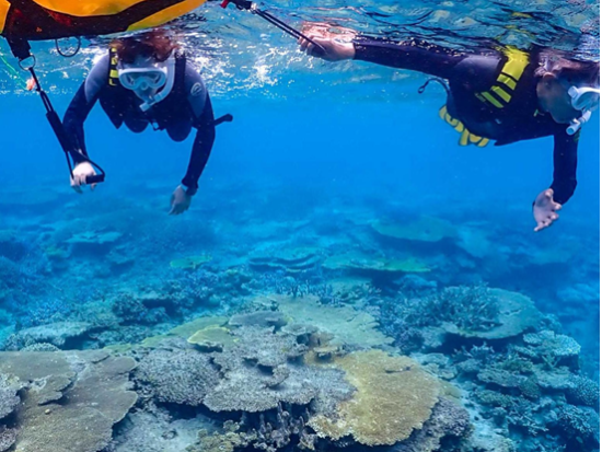 サバニで巡る伊平屋の海 シュノーケル＆スキンダイブ体験＜3時間／水中データ付き／伊平屋＞