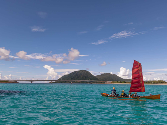 スクリーンショット 2026-01-28 144228