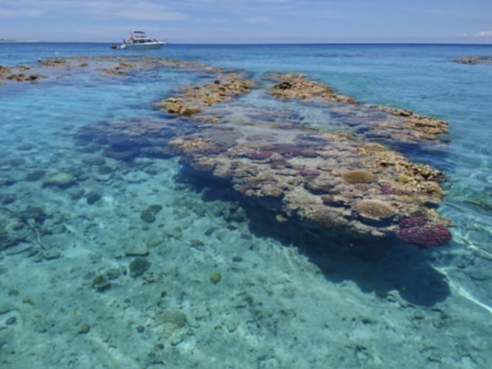 original_0c0dbaae-e0d9-487c-b5a0-393777fc8aa2_Screenshot_20220315-192049