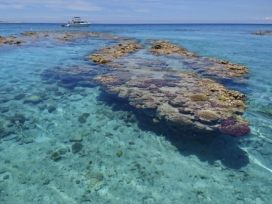 【完全貸切】瀬底島・水納島ボート＆ジェットスキー体験  マリンスポーツ遊び放題付き＜最大9名＞