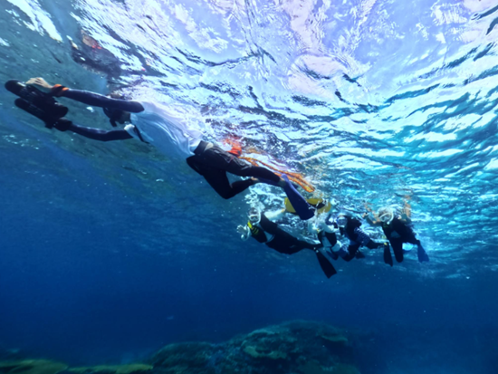 スクリーンショット 2026-01-28 155916