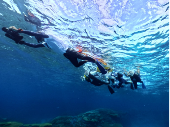 伊平屋島のサンゴ礁探検　龍宮の散歩道シュノーケリング＆スキンダイブ体験＜3時間／水中データ付き／伊平屋＞