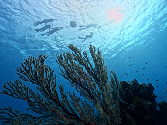 スクリーンショット 2026-01-28 155932