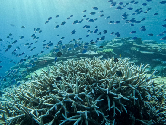 スクリーンショット 2026-01-28 160235