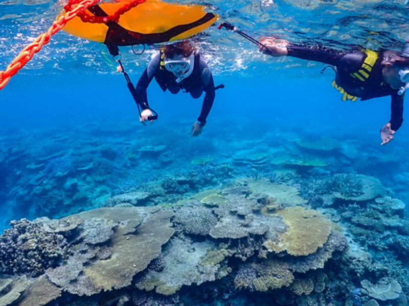 スクリーンショット 2026-01-28 155944