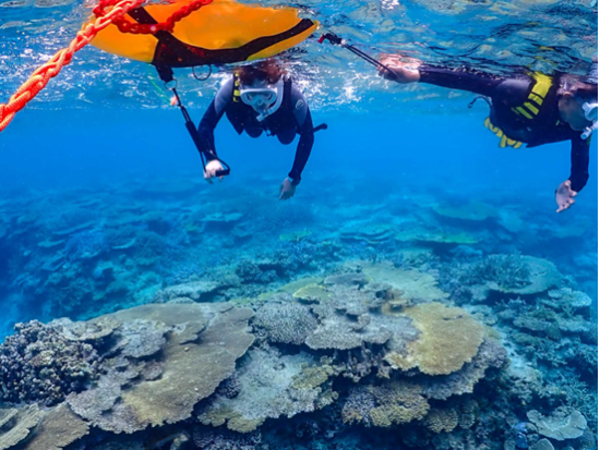 伊平屋島のサンゴ礁探検　龍宮の散歩道シュノーケリング＆スキンダイブ体験＜3時間／水中データ付き／伊平屋＞