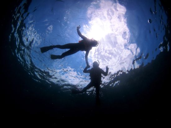 ビーチシュノーケリング体験　家族旅行にもおすすめ◎西海岸のサンゴ礁と熱帯魚を満喫＜1時間／5歳以上／名護＞