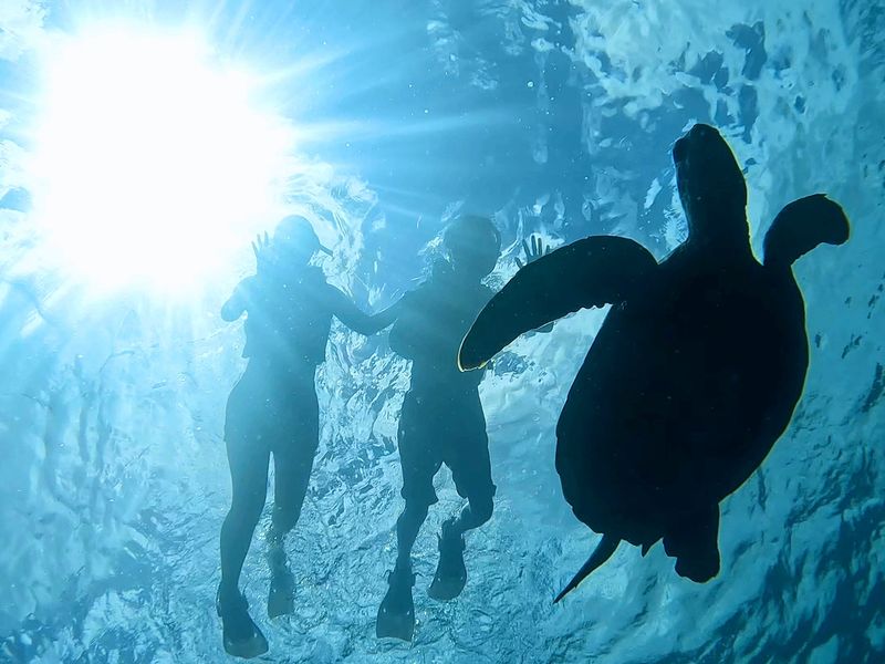 05DA23DF-7EB9-4C64-9150-6856A6DC7F50