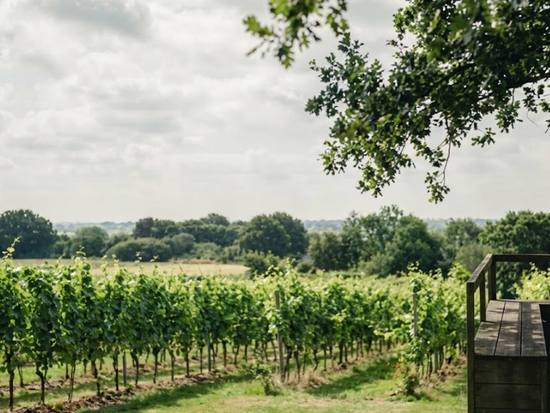 Screenshot 2026-01-28 at 15.26.23