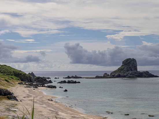 スクリーンショット 2026-01-29 094049