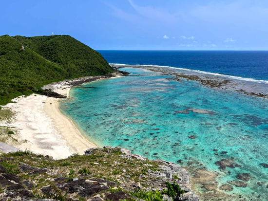 スクリーンショット 2026-01-29 094015