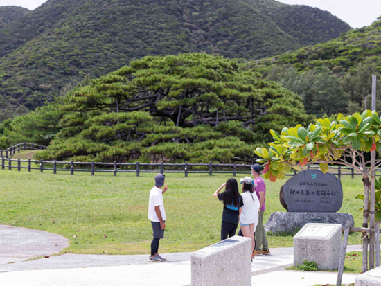 スクリーンショット 2026-01-29 093849