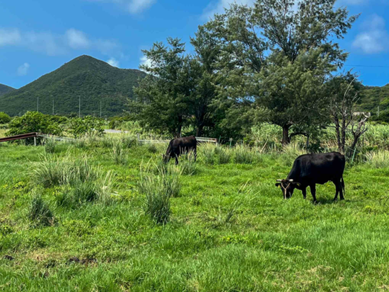 スクリーンショット 2026-01-29 093734