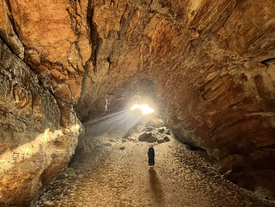 スクリーンショット 2026-01-29 093929