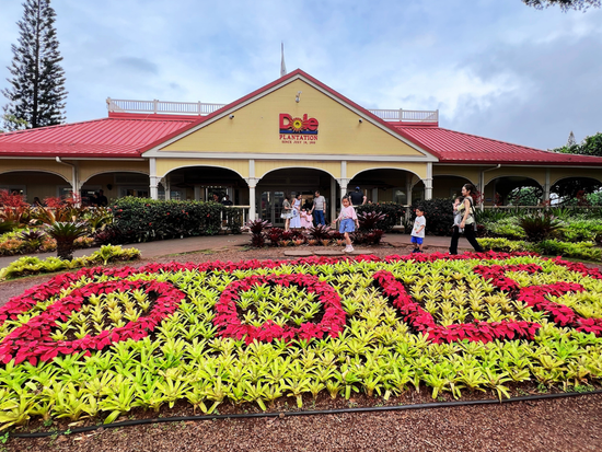 Dole Plantation