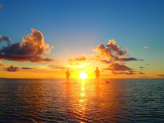 17180FEB-06E5-46A5-B3A5-DDE0C226B3F4