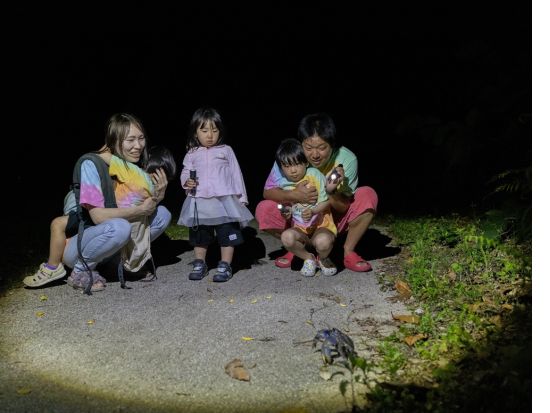 宮古島ナイトツアー ヤシガニや星空と出会える冒険体験♪ ツアー中の写真を無料プレゼント★＜小学生未満無料／1時間＞