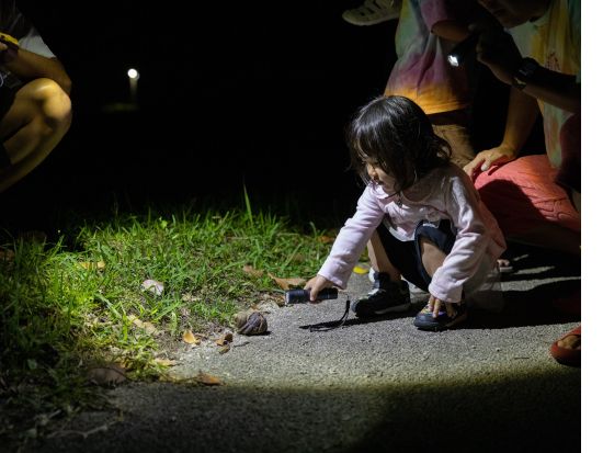宮古島ナイトツアー ヤシガニや星空と出会える冒険体験♪ ツアー中の写真を無料プレゼント★＜小学生未満無料／1時間＞