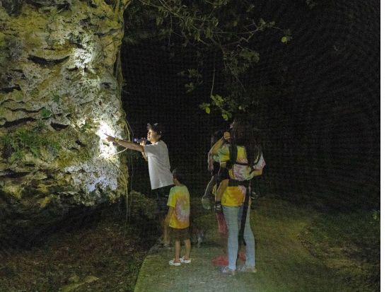 宮古島ナイトツアー ヤシガニや星空と出会える冒険体験♪ ツアー中の写真を無料プレゼント★＜小学生未満無料／1時間＞