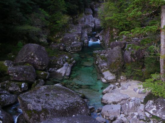 秘境ヤクスギランドの半日コース　ファミリーにもおすすめ！3歳からOK＜宮之浦～安房～尾之間エリア送迎／午前・午後＞ by 屋久島らんぶりん